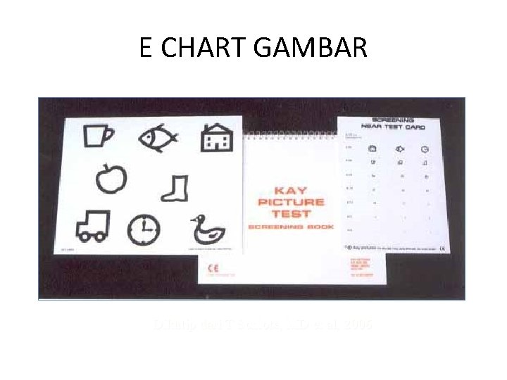 E CHART GAMBAR Dikutip dari T Schlote, MD et al, 2006 