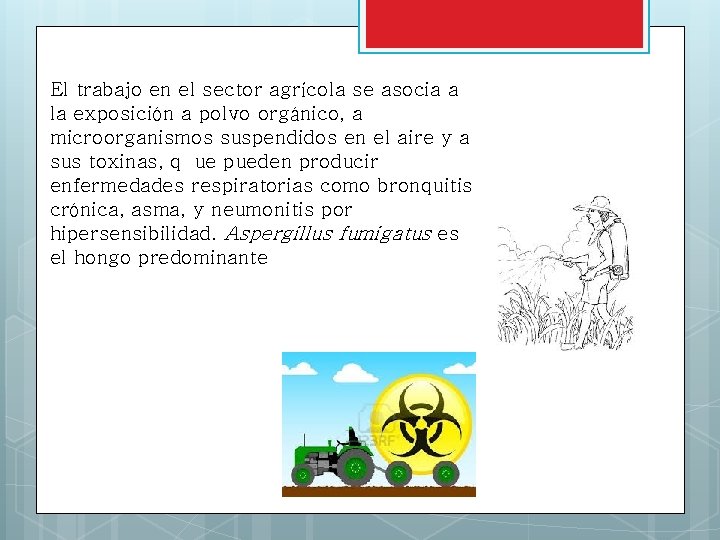 El trabajo en el sector agrícola se asocia a la exposición a polvo orgánico,