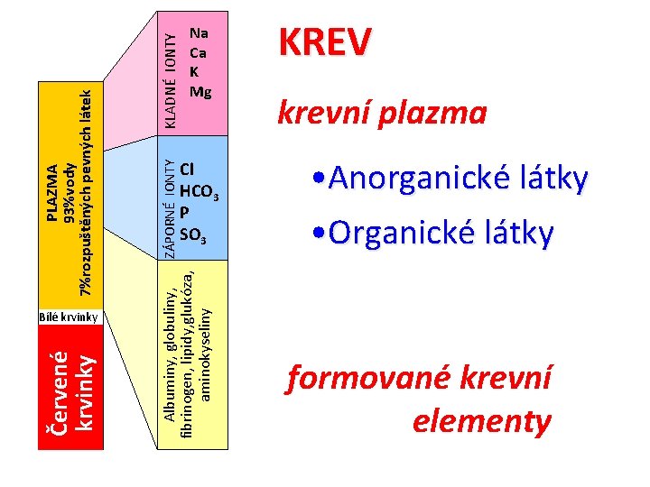 KLADNÉ IONTY PLAZMA 93%vody 7%rozpuštěných pevných látek ZÁPORNÉ IONTY Albuminy, globuliny, fibrinogen, lipidy, glukóza,