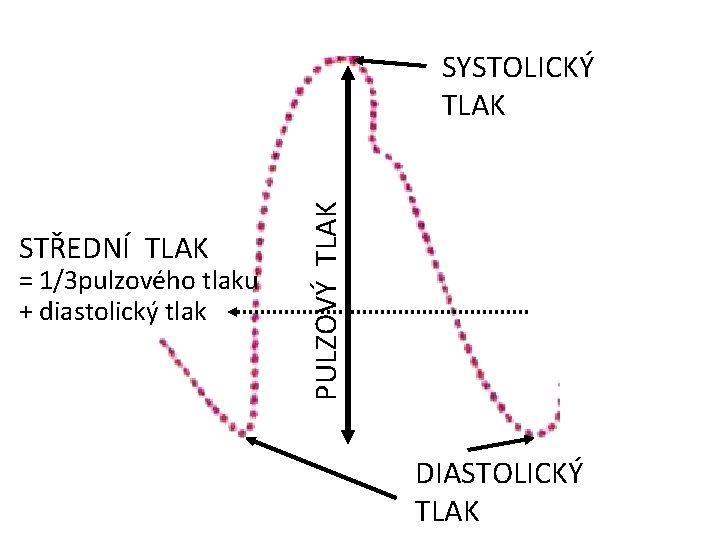 STŘEDNÍ TLAK = 1/3 pulzového tlaku + diastolický tlak PULZOVÝ TLAK SYSTOLICKÝ TLAK DIASTOLICKÝ