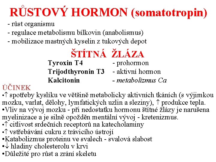 RŮSTOVÝ HORMON (somatotropin) - růst organismu - regulace metabolismu bílkovin (anabolismus) - mobilizace mastných