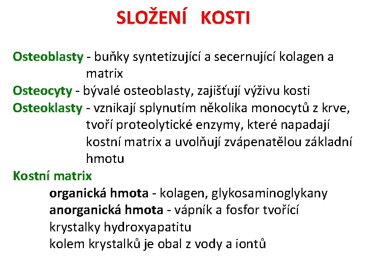 SLOŽENÍ KOSTI Osteoblasty - buňky syntetizující a secernující kolagen a matrix Osteocyty - bývalé