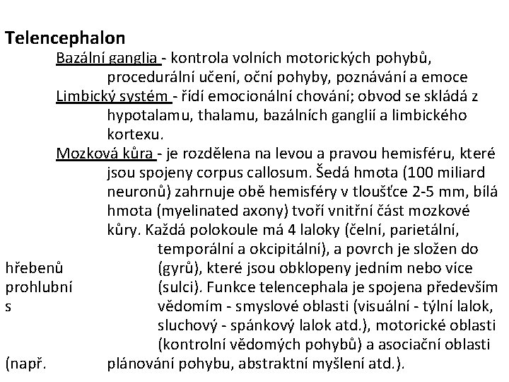 Telencephalon Bazální ganglia - kontrola volních motorických pohybů, procedurální učení, oční pohyby, poznávání a