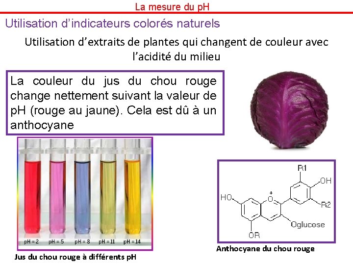 La mesure du p. H Utilisation d’indicateurs colorés naturels Utilisation d’extraits de plantes qui