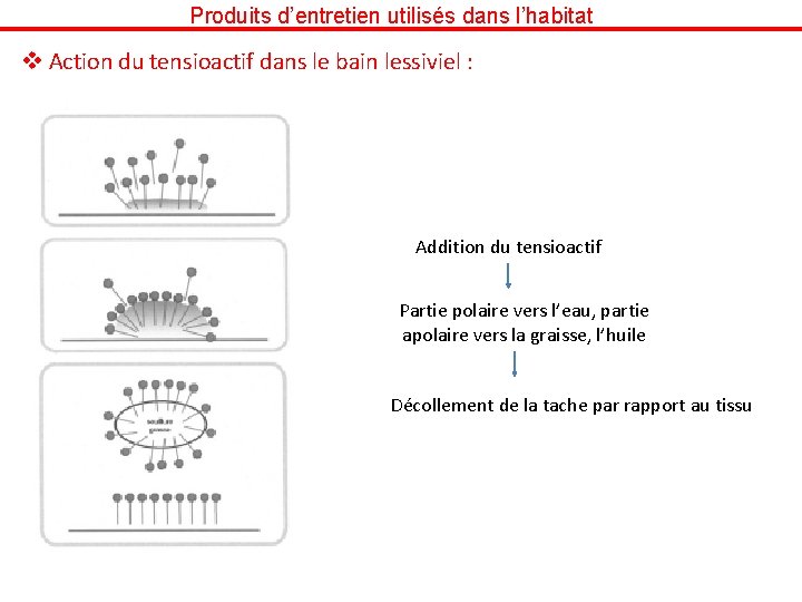 Produits d’entretien utilisés dans l’habitat v Action du tensioactif dans le bain lessiviel :