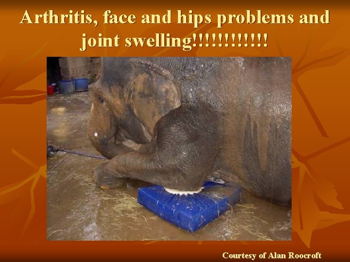 Arthritis, face and hips problems and joint swelling!!!!!! Courtesy of Alan Roocroft 