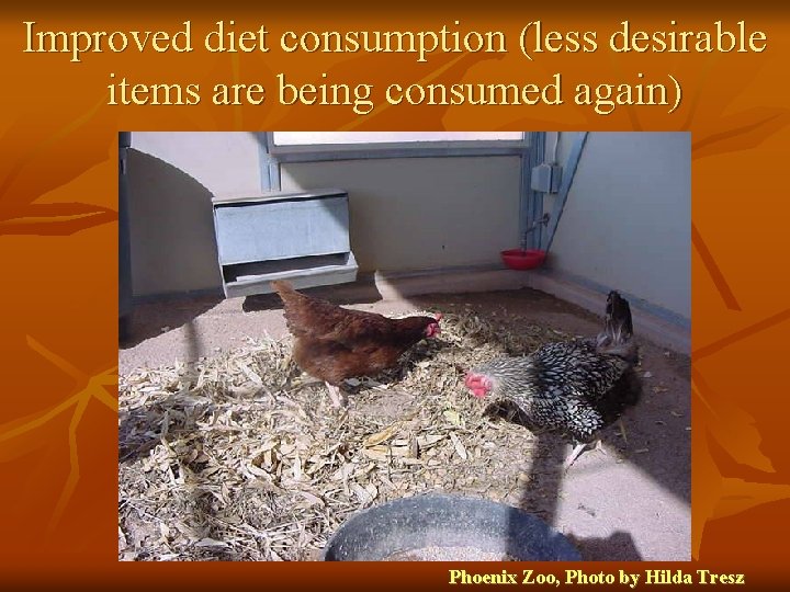 Improved diet consumption (less desirable items are being consumed again) Phoenix Zoo, Photo by