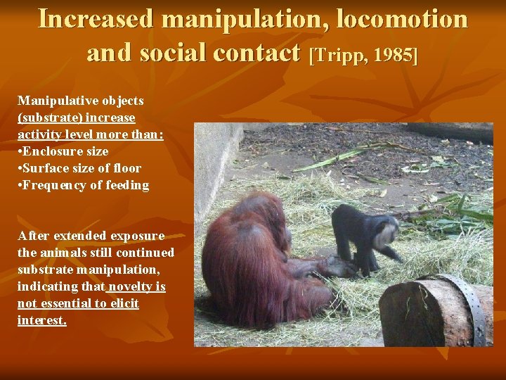 Increased manipulation, locomotion and social contact [Tripp, 1985] Manipulative objects (substrate) increase activity level