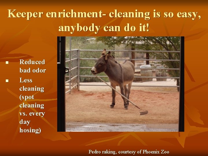 Keeper enrichment- cleaning is so easy, anybody can do it! n n Reduced bad