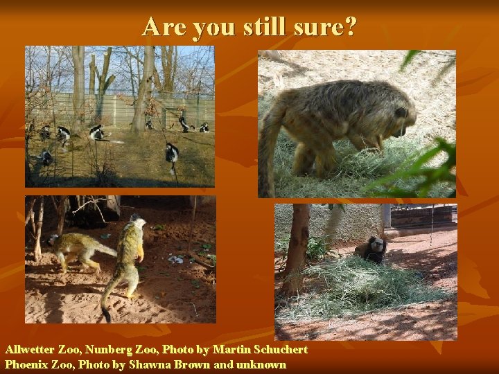 Are you still sure? Allwetter Zoo, Nunberg Zoo, Photo by Martin Schuchert Phoenix Zoo,