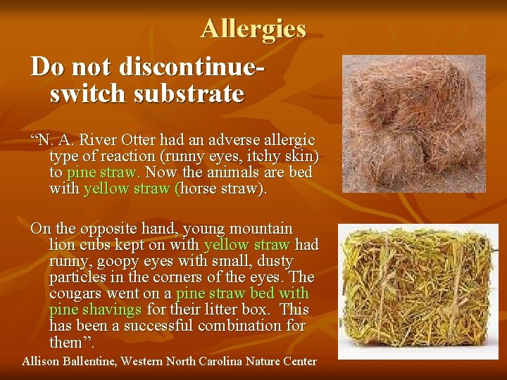 Allergies Do not discontinueswitch substrate “N. A. River Otter had an adverse allergic type