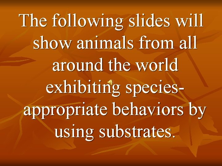 The following slides will show animals from all around the world exhibiting speciesappropriate behaviors