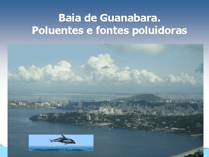 Baia de Guanabara. Poluentes e fontes poluidoras 