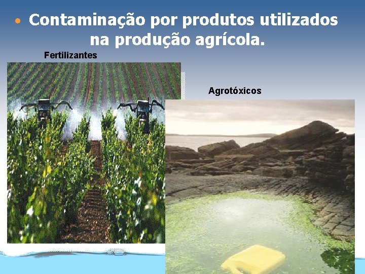  • Contaminação por produtos utilizados na produção agrícola. Fertilizantes Agrotóxicos 