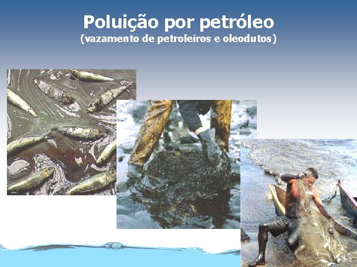 Poluição por petróleo (vazamento de petroleiros e oleodutos) 