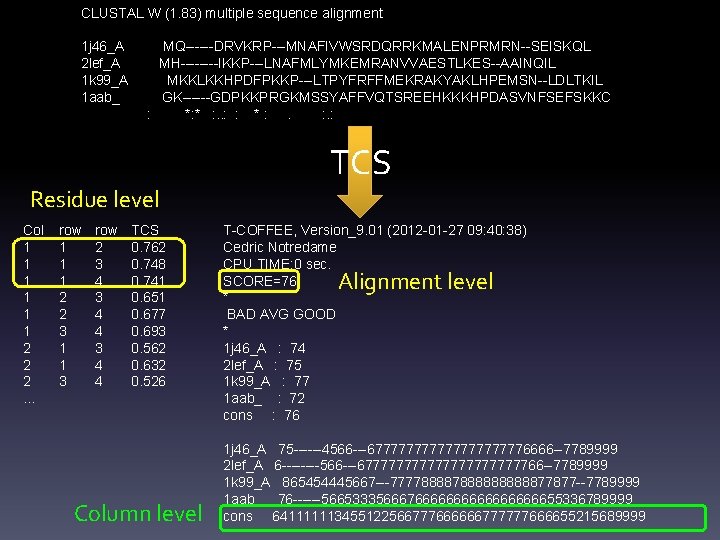 CLUSTAL W (1. 83) multiple sequence alignment 1 j 46_A 2 lef_A 1 k