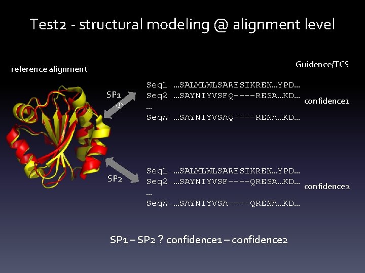 Test 2 - structural modeling @ alignment level Guidence/TCS reference alignment SP 1 S