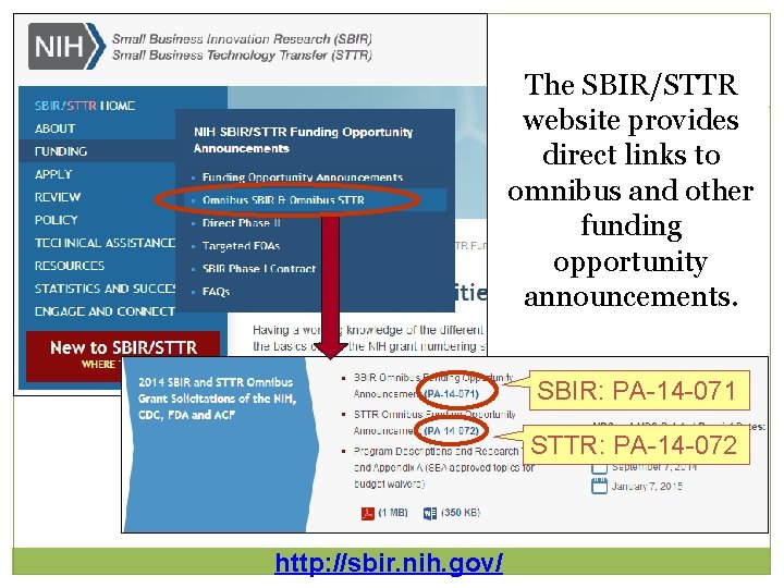 SBIR/STTR Parent Announcements 16 The SBIR/STTR website provides direct links to omnibus and other