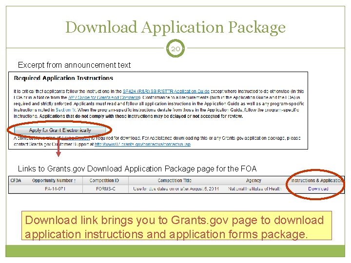 Download Application Package 20 Excerpt from announcement text Links to Grants. gov Download Application