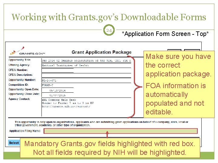Working with Grants. gov’s Downloadable Forms 24 *Application Form Screen - Top* Make sure