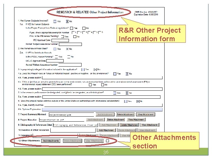 Avoiding Common Errors R&R Other Project Information form 36 Other Attachments section 