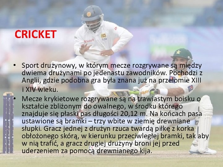 CRICKET • Sport drużynowy, w którym mecze rozgrywane są między dwiema drużynami po jedenastu