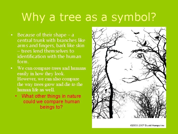 Why a tree as a symbol? • Because of their shape – a central
