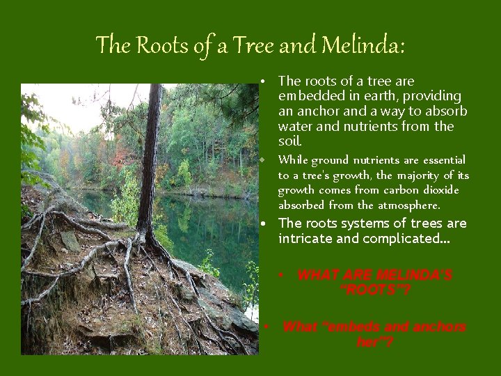 The Roots of a Tree and Melinda: • The roots of a tree are