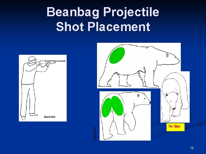 Beanbag Projectile Shot Placement BEARWISE No Shot 16 