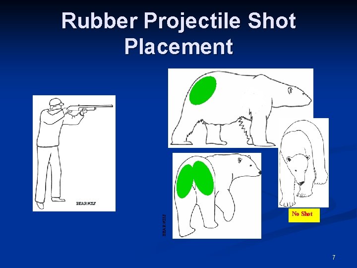 Rubber Projectile Shot Placement BEARWISE No Shot 7 