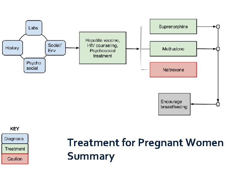 Treatment for Pregnant Women Summary 