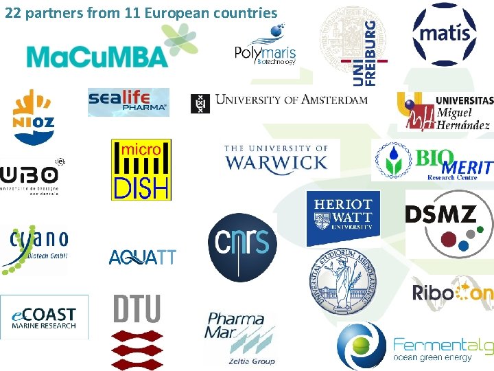 22 partners from 11 European countries 