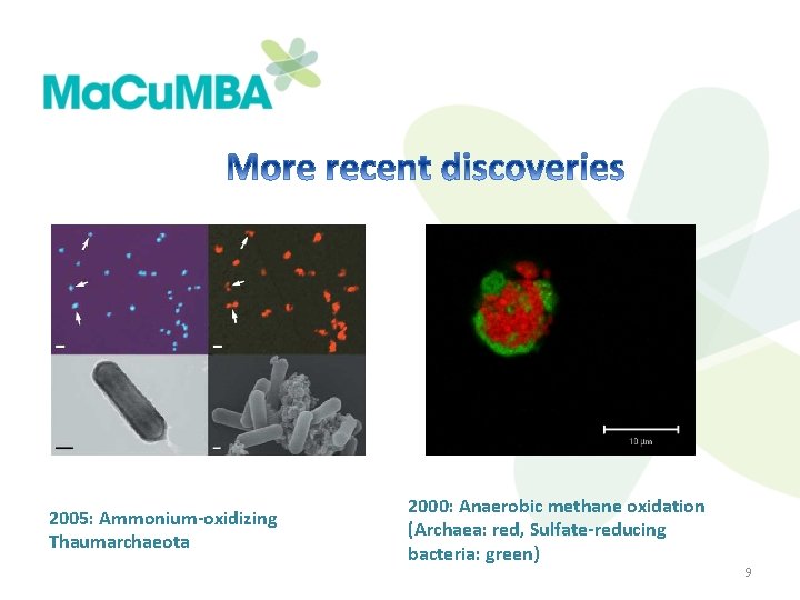 2005: Ammonium-oxidizing Thaumarchaeota 2000: Anaerobic methane oxidation (Archaea: red, Sulfate-reducing bacteria: green) 9 