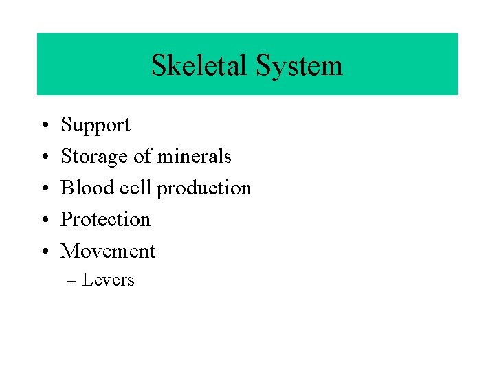 Skeletal System • • • Support Storage of minerals Blood cell production Protection Movement
