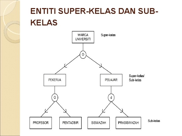 ENTITI SUPER-KELAS DAN SUBKELAS 