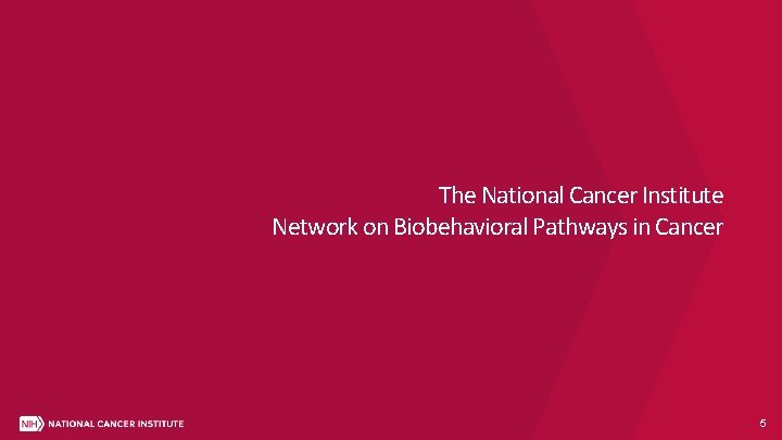 The National Cancer Institute Network on Biobehavioral Pathways in Cancer 5 