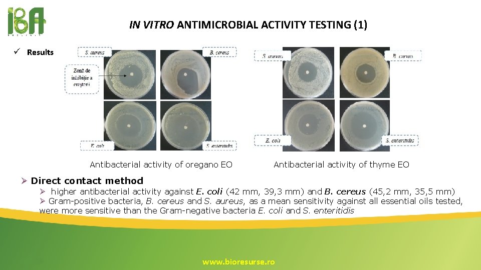 IN VITRO ANTIMICROBIAL ACTIVITY TESTING (1) ü Results Antibacterial activity of oregano EO Antibacterial