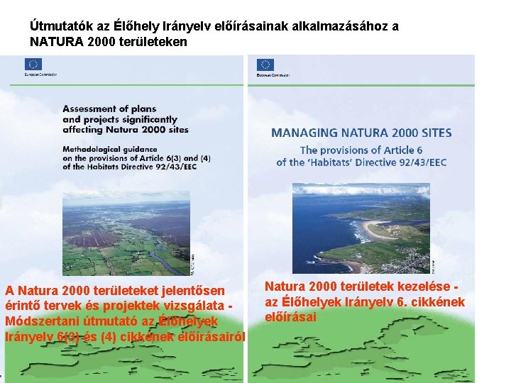 Útmutatók az Élőhely Irányelv előírásainak alkalmazásához a NATURA 2000 területeken A Natura 2000 területeket