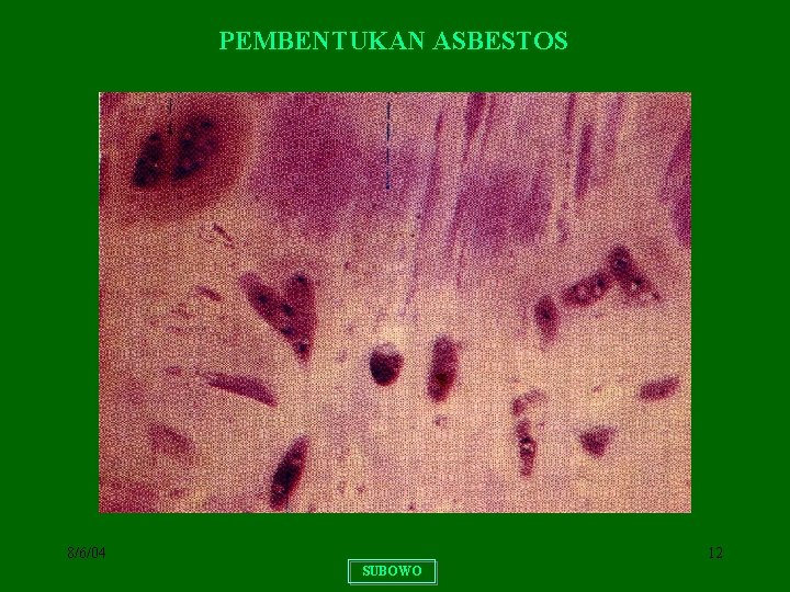 PEMBENTUKAN ASBESTOS 8/6/04 12 SUBOWO 