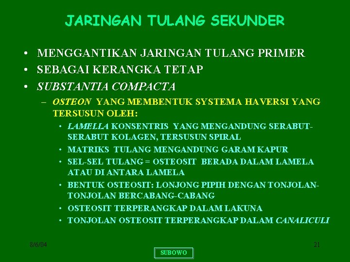 JARINGAN TULANG SEKUNDER • MENGGANTIKAN JARINGAN TULANG PRIMER • SEBAGAI KERANGKA TETAP • SUBSTANTIA