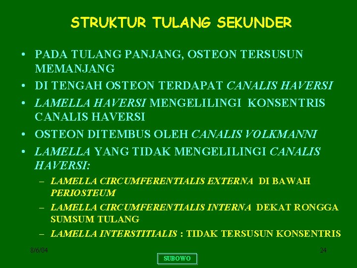 STRUKTUR TULANG SEKUNDER • PADA TULANG PANJANG, OSTEON TERSUSUN MEMANJANG • DI TENGAH OSTEON