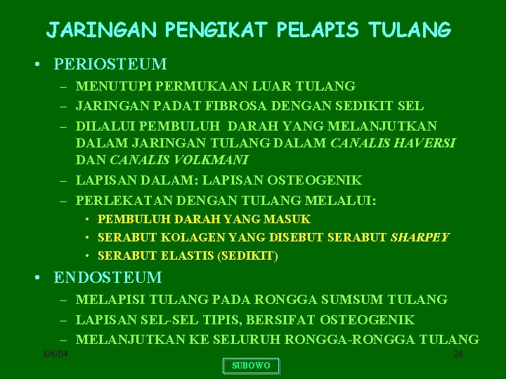 JARINGAN PENGIKAT PELAPIS TULANG • PERIOSTEUM – MENUTUPI PERMUKAAN LUAR TULANG – JARINGAN PADAT