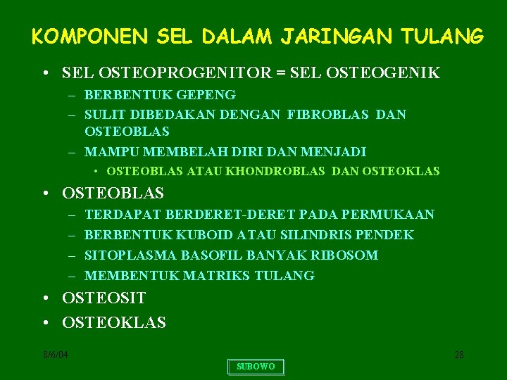 KOMPONEN SEL DALAM JARINGAN TULANG • SEL OSTEOPROGENITOR = SEL OSTEOGENIK – BERBENTUK GEPENG