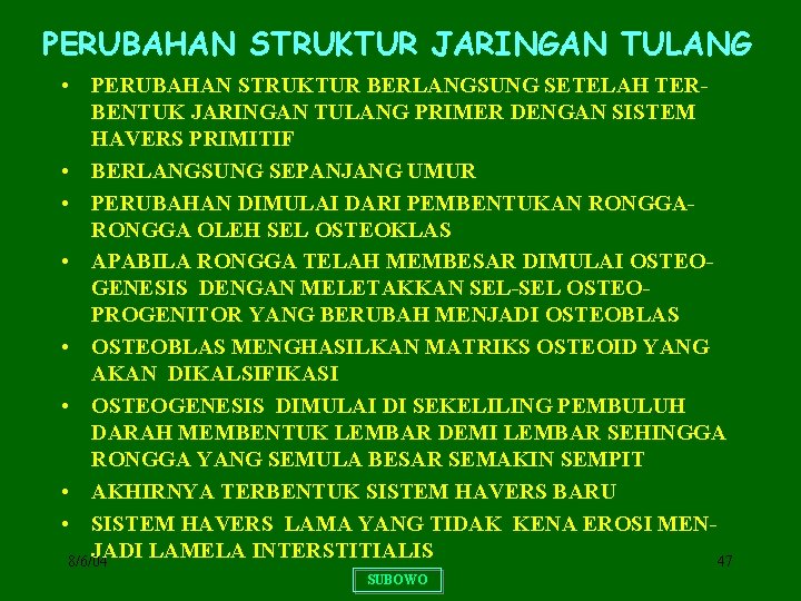 PERUBAHAN STRUKTUR JARINGAN TULANG • PERUBAHAN STRUKTUR BERLANGSUNG SETELAH TERBENTUK JARINGAN TULANG PRIMER DENGAN