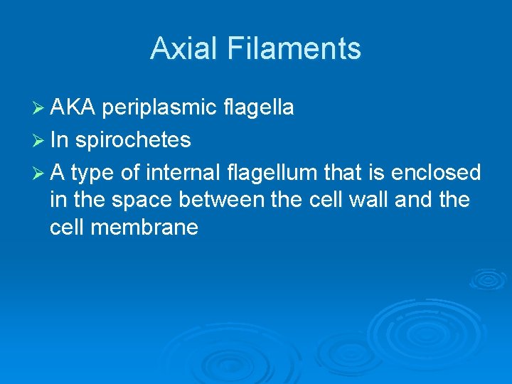 Axial Filaments Ø AKA periplasmic flagella Ø In spirochetes Ø A type of internal