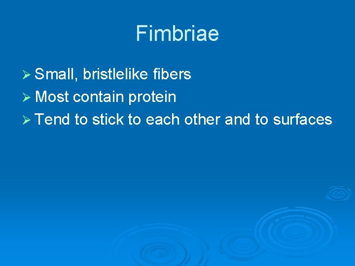 Fimbriae Ø Small, bristlelike fibers Ø Most contain protein Ø Tend to stick to