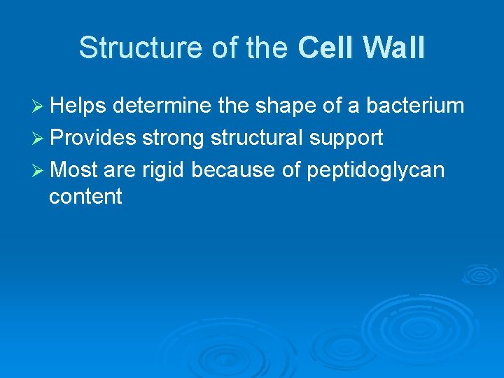 Structure of the Cell Wall Ø Helps determine the shape of a bacterium Ø