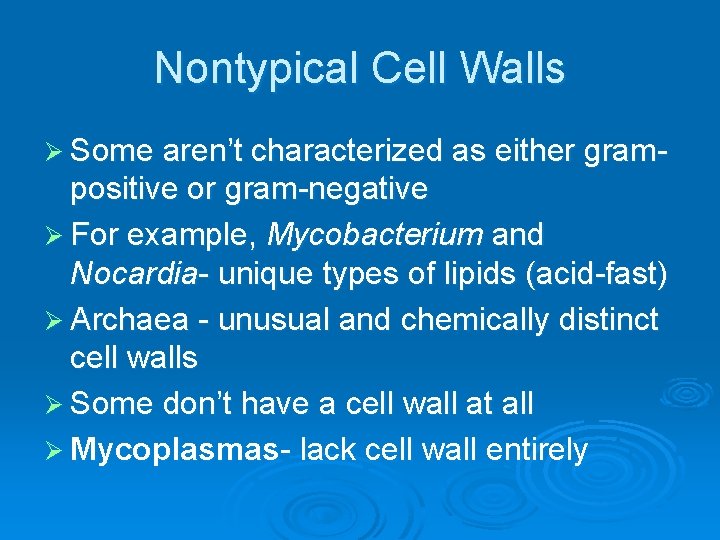 Nontypical Cell Walls Ø Some aren’t characterized as either gram- positive or gram-negative Ø