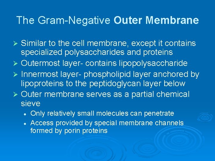 The Gram-Negative Outer Membrane Similar to the cell membrane, except it contains specialized polysaccharides