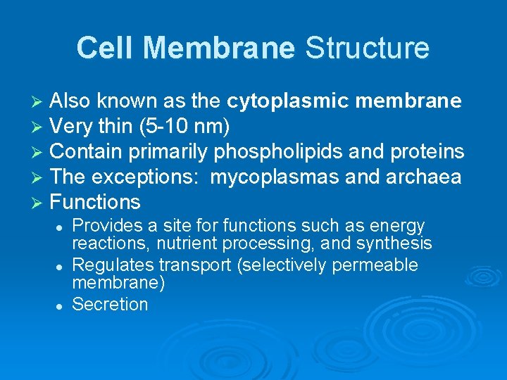 Cell Membrane Structure Ø Also known as the cytoplasmic membrane Ø Very thin (5